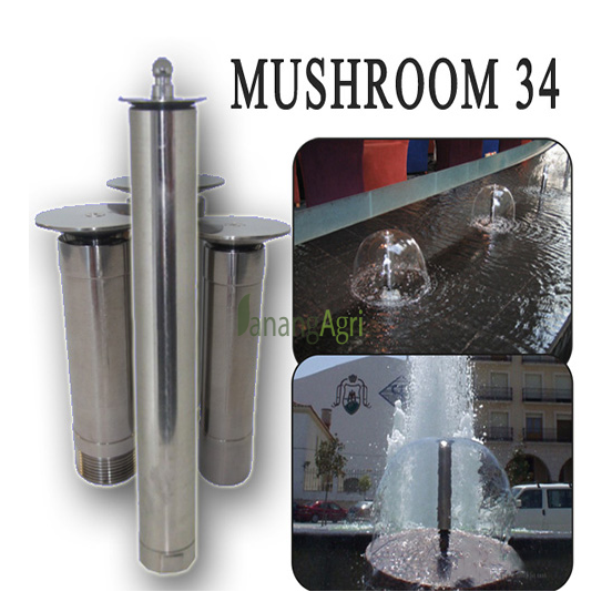 Mushroom 34