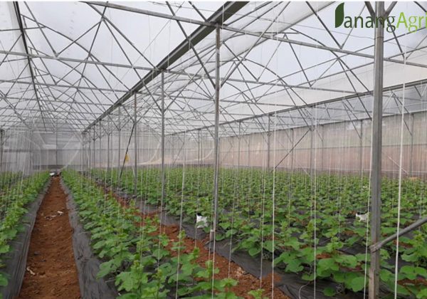 Giới thiệu thương hiệu ống tưới nhỏ giọt Netafim - Danangagri