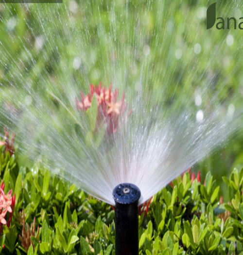 Biện pháp tưới nước hợp lí - Danangagri